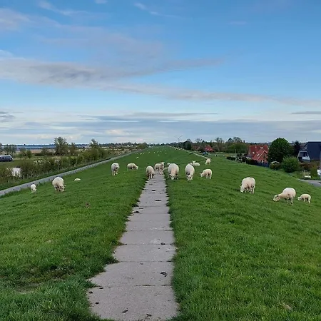 Kajuete In By Interhome Lejlighed Fedderwardersiel
